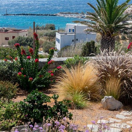 Aelion Villa Vari  Экстерьер фото
