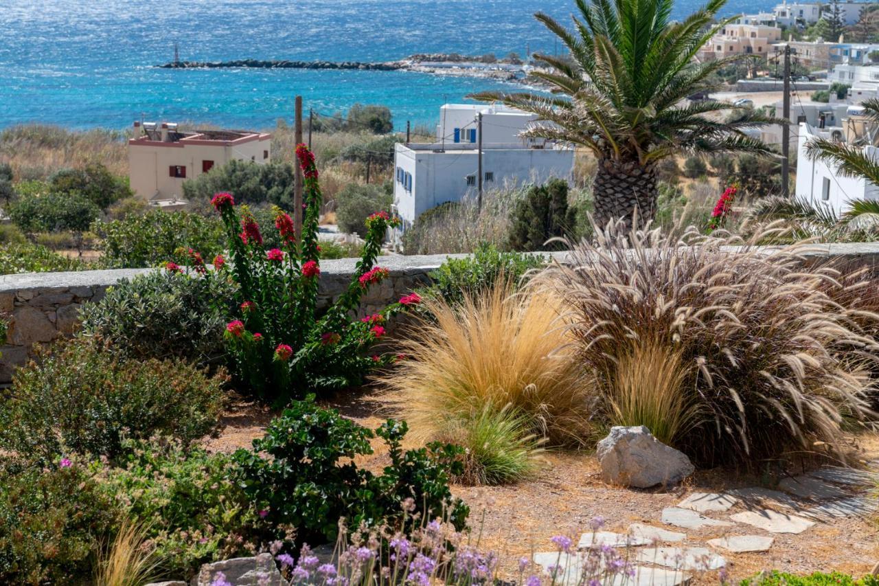 Aelion Villa Vari  Экстерьер фото
